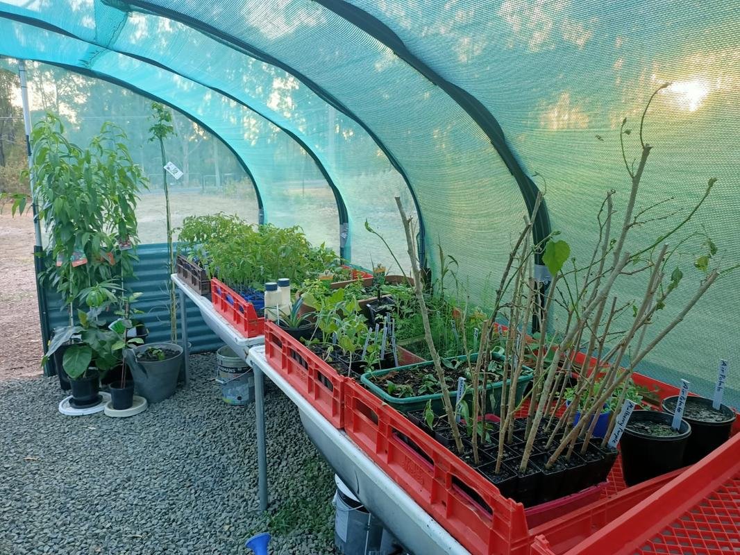 Nursery