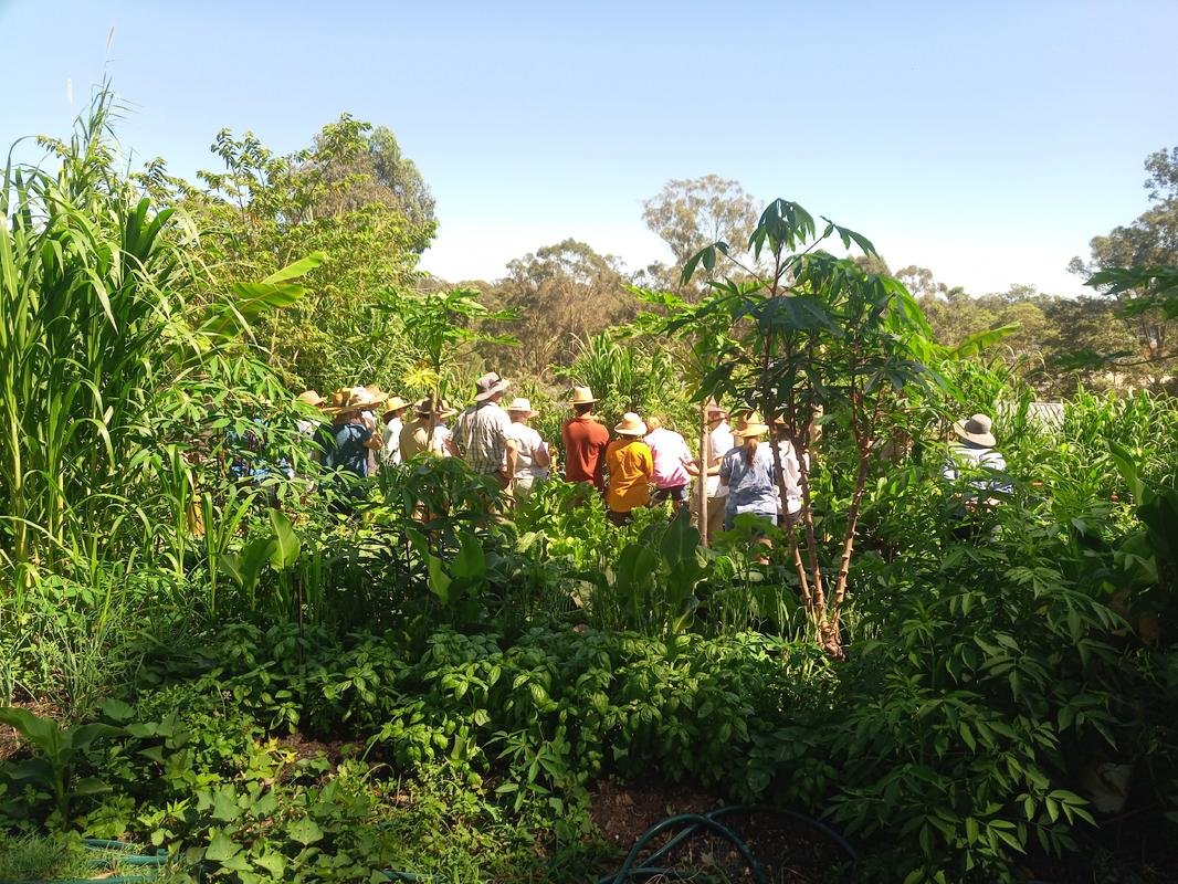 Workshop participants in the food forest at Nourished Landscapes