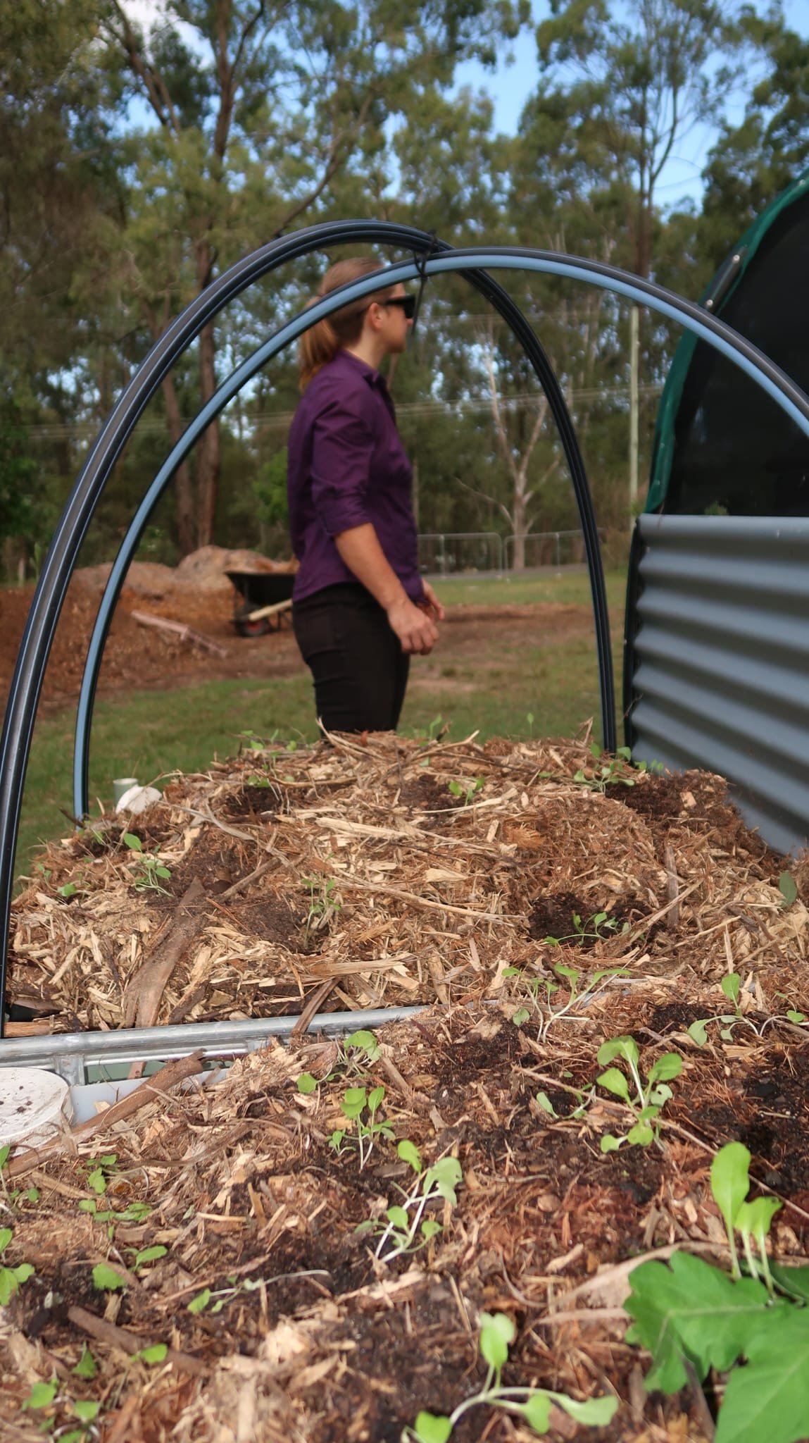 Wicking bed and raised garden installation