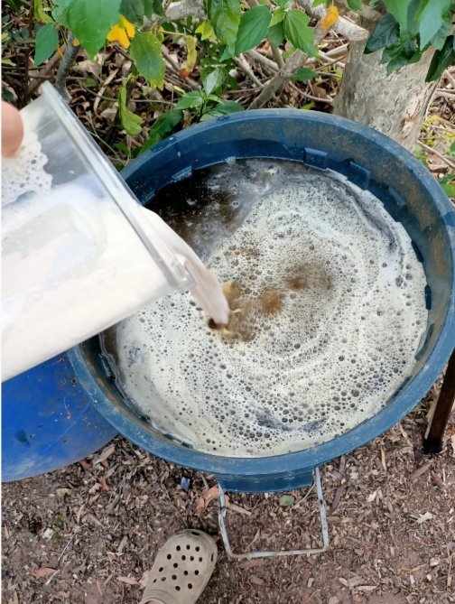 Garden alchemy — fermentation