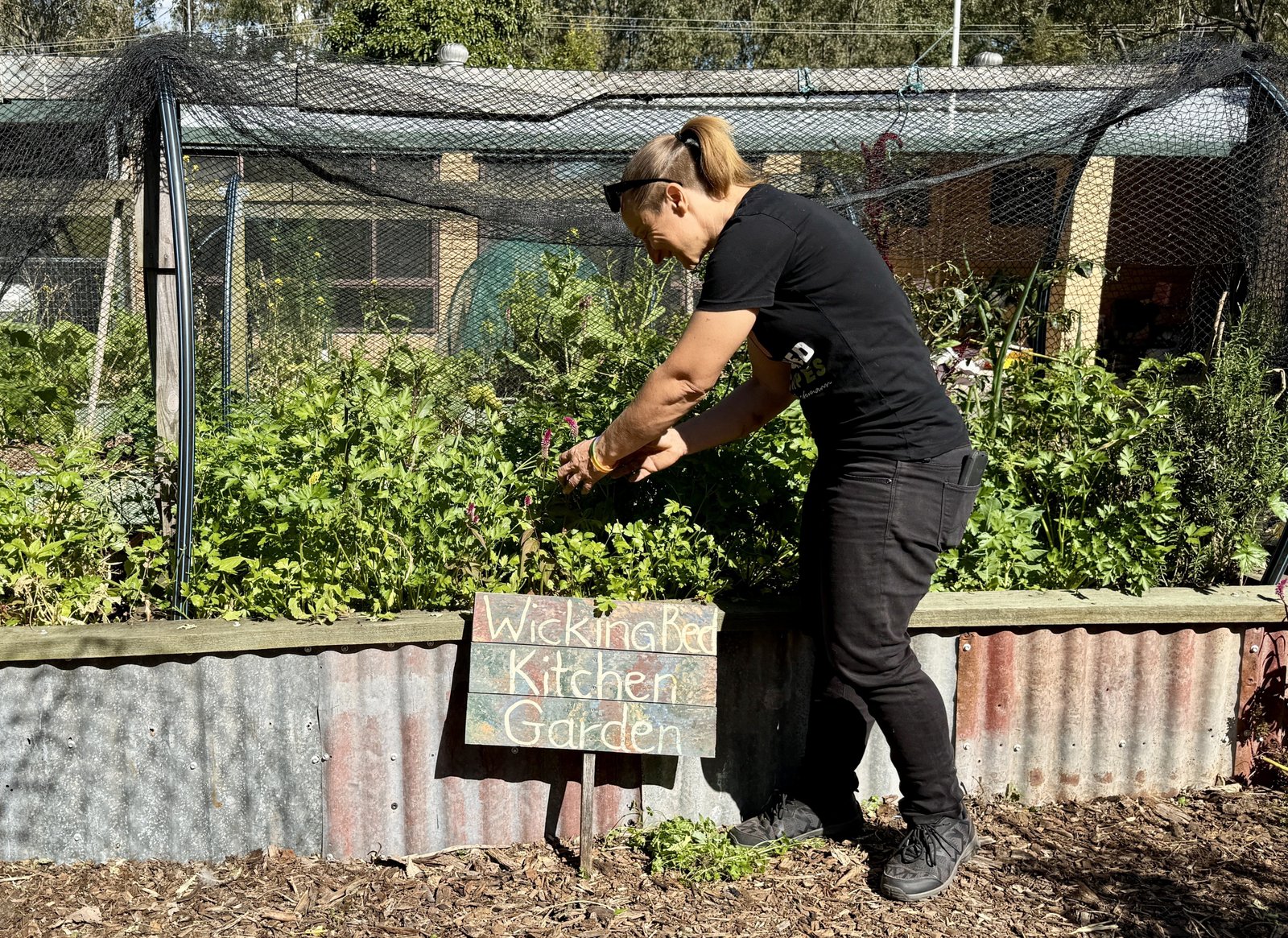 Wicking bed kitchen garden