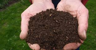 Composting workshop