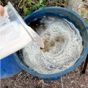 Garden Alchemy Workshop