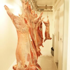 Sheep Butchering Workshop