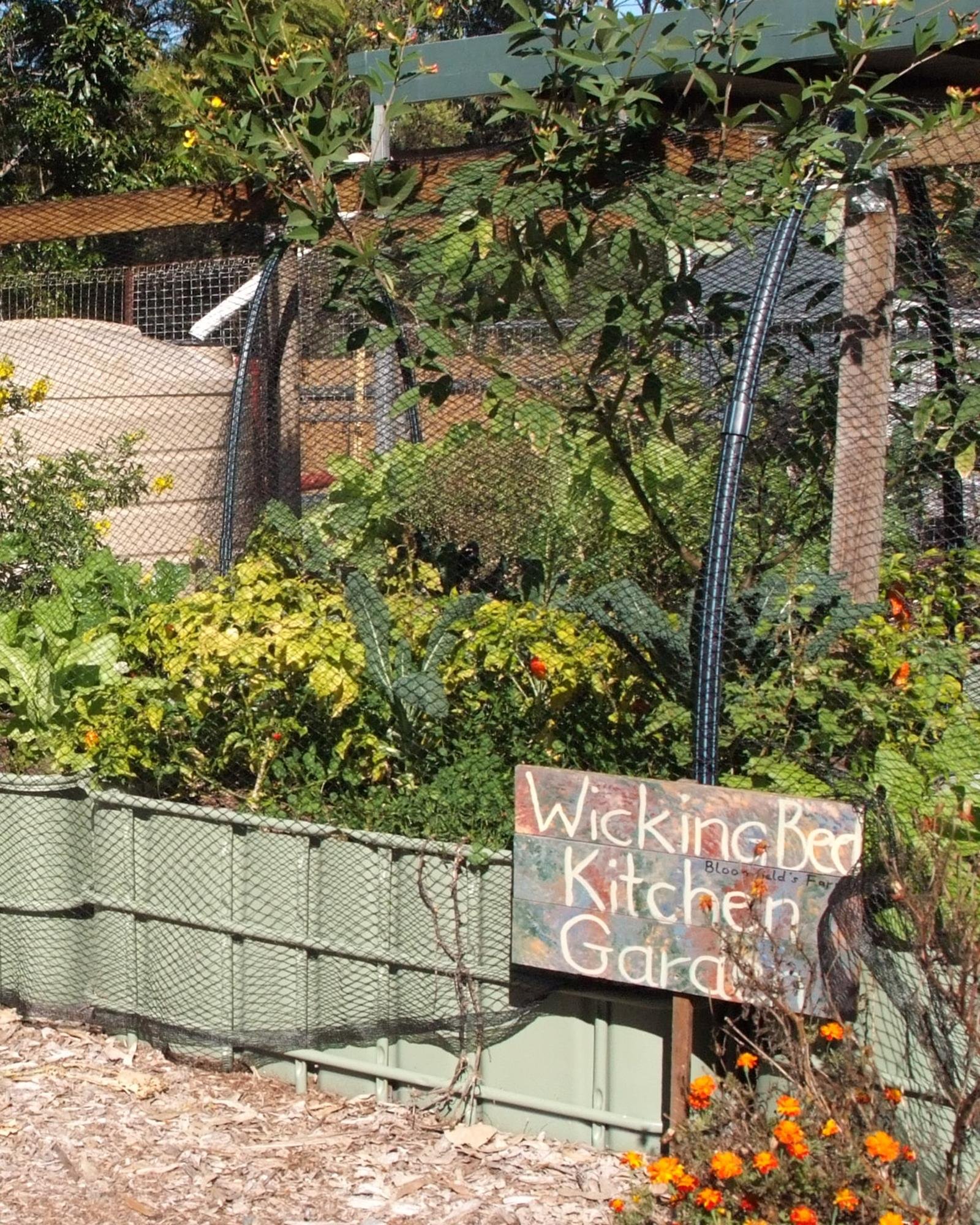Wicking Bed Workshop