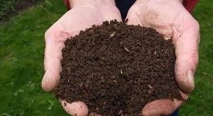 Composting Workshop